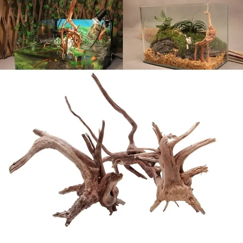 Aquarium Planted Wood - ต้นไม้ธรรมชาติลำต้นไม้ดริฟท์วู้ดตู้ปลาตู้ปลาตู้ปลาตู้ปลาตู้ปลาที่รากกระบอกพืชไม้เครื่องประดับตกแต่งสำหรับพืชในตู้ปลา