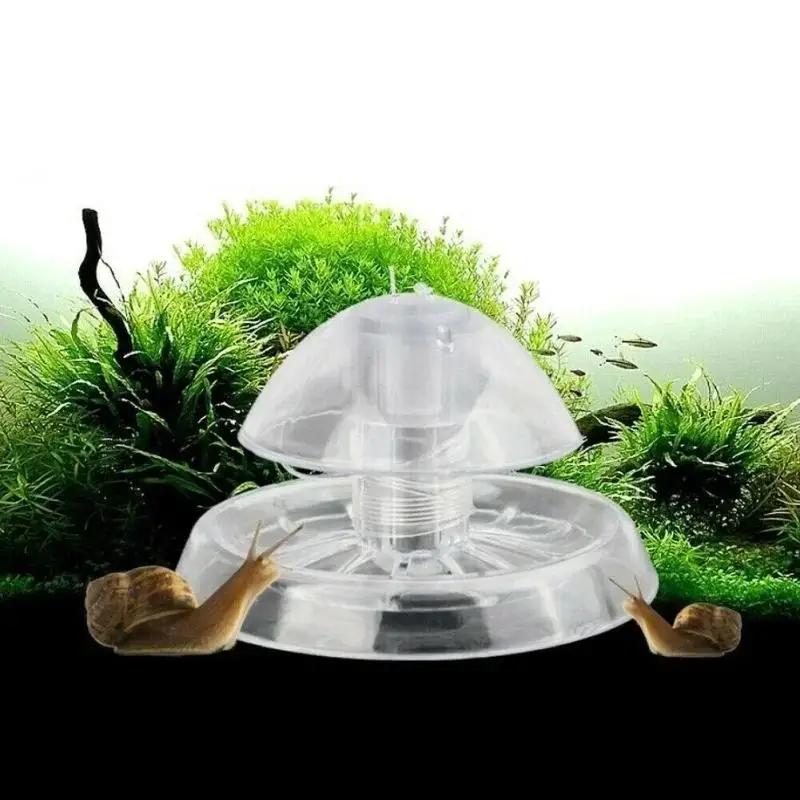 Aquarium Planted Fish Tank - กับดักหอยทากพลาสติกใสขนาด 6/8 ซม. รุ่นใหม่ ปี 2026