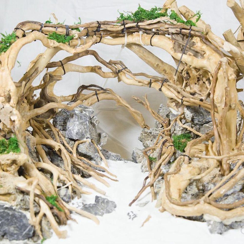 Aquarium Planted Wood - ฉากหลังตู้เลี้ยงสัตว์เลื้อยคลาน N1N ตกแต่งตู้ปลา จัดสวน ต้นไม้ธรรมชาติ รากต้นคูกู