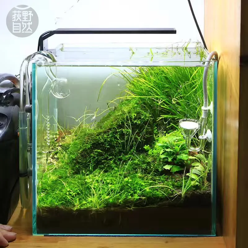 Planted Aquarium Products - Chihiros C Series ADA สไตล์พืช Grow