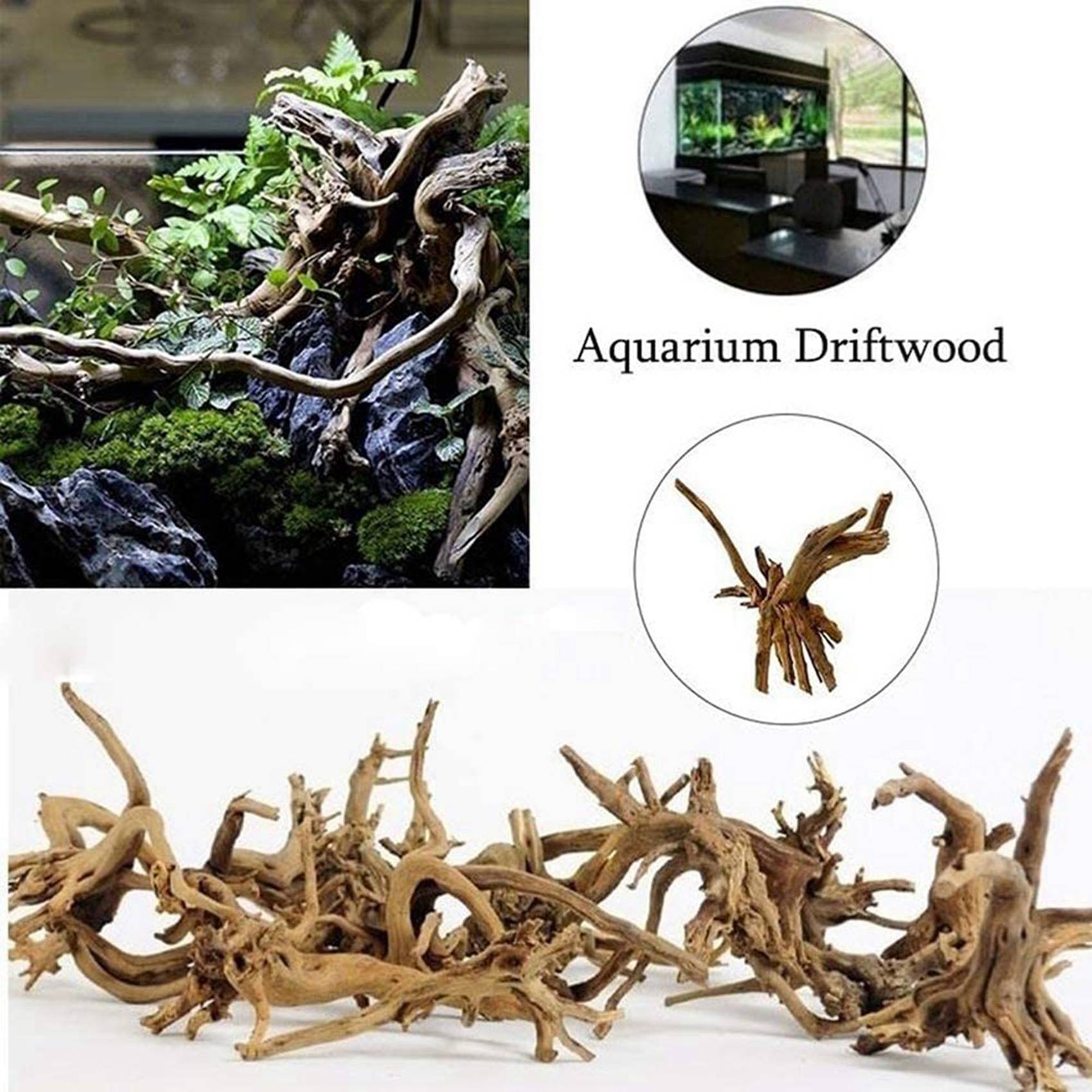Aquarium Plant Guide - ลดราคา-ไม้ลอยน้ำขนาดเล็กสำหรับตู้ปลา ไม้ธรรมชาติ กิ่งไม้ตกแต่งตู้ปลา ไม้ลอยน้ำสำหรับสัตว์เลื้อยคลาน ลำต้นต้นไม้ ไม้ลอยน้ำคละแบบ