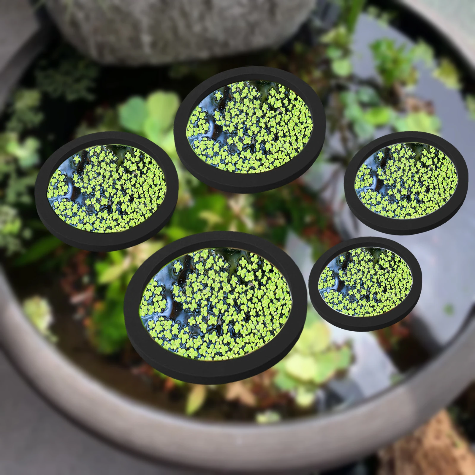 Aquarium Planted Fish Tank - 5 ชิ้น EVA ปลา Feeding แหวน