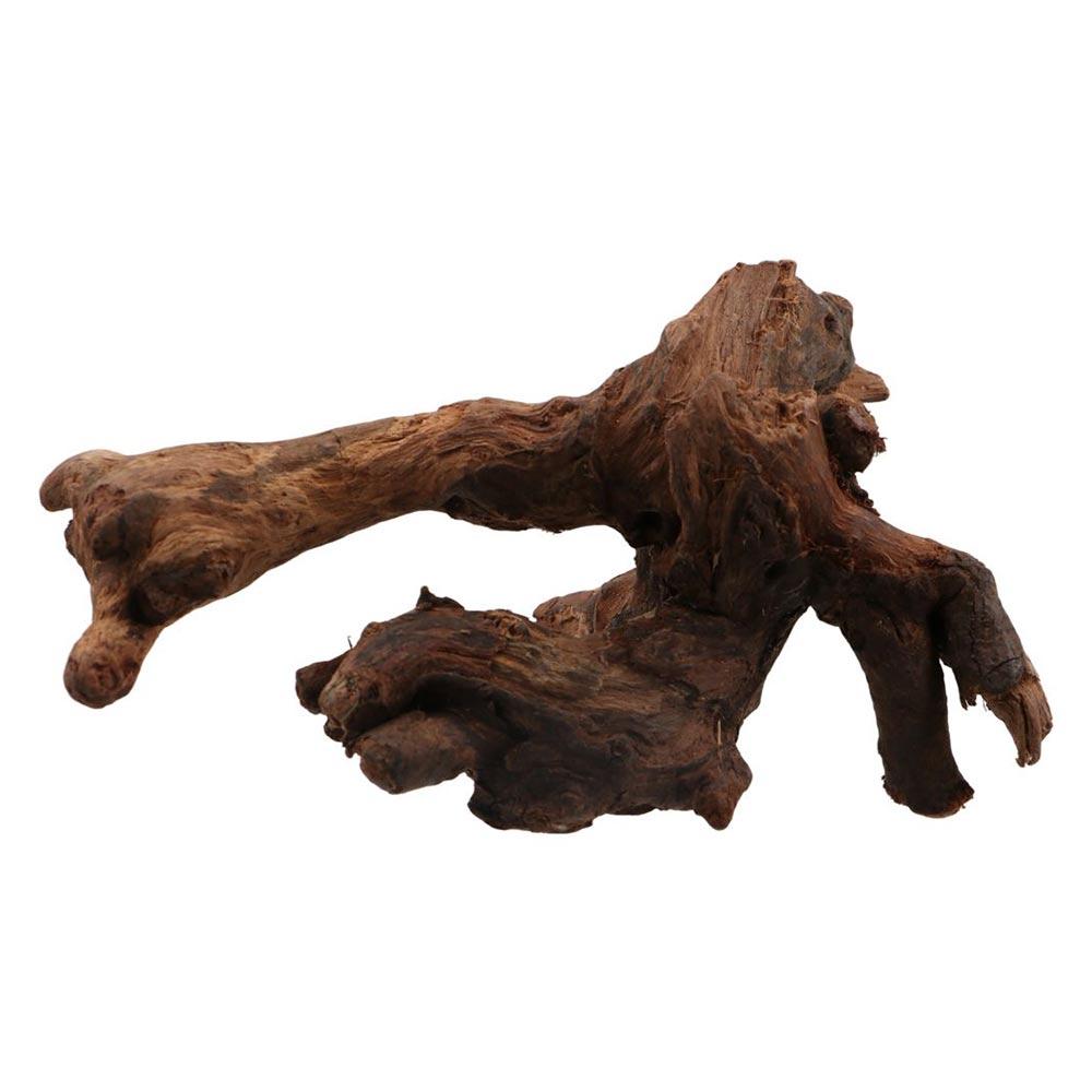 Aquarium Planted Wood - ไม้ปะการังรูปทรงแปลกตา ไม้ธรรมชาติ ท่อนไม้ลอยน้ำ รากต้นไม้ สำหรับตกแต่งตู้ปลา