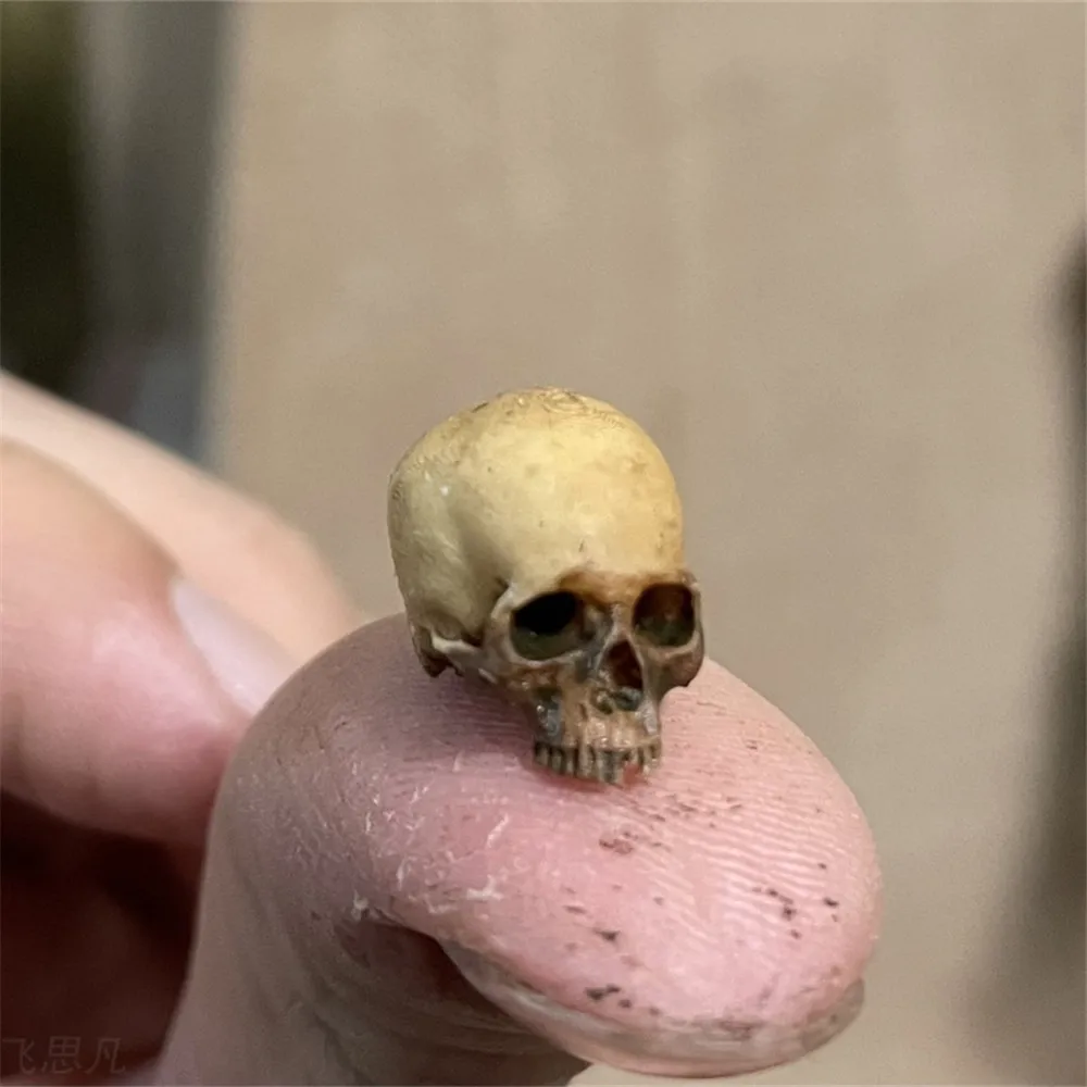 Aquarium Plants Book - Mini Skull คุณภาพสูง Miniature สําหรับตกแต่งบ้านฮาโลวีนตุ๊กตาพืชตกแต่งถังปลา