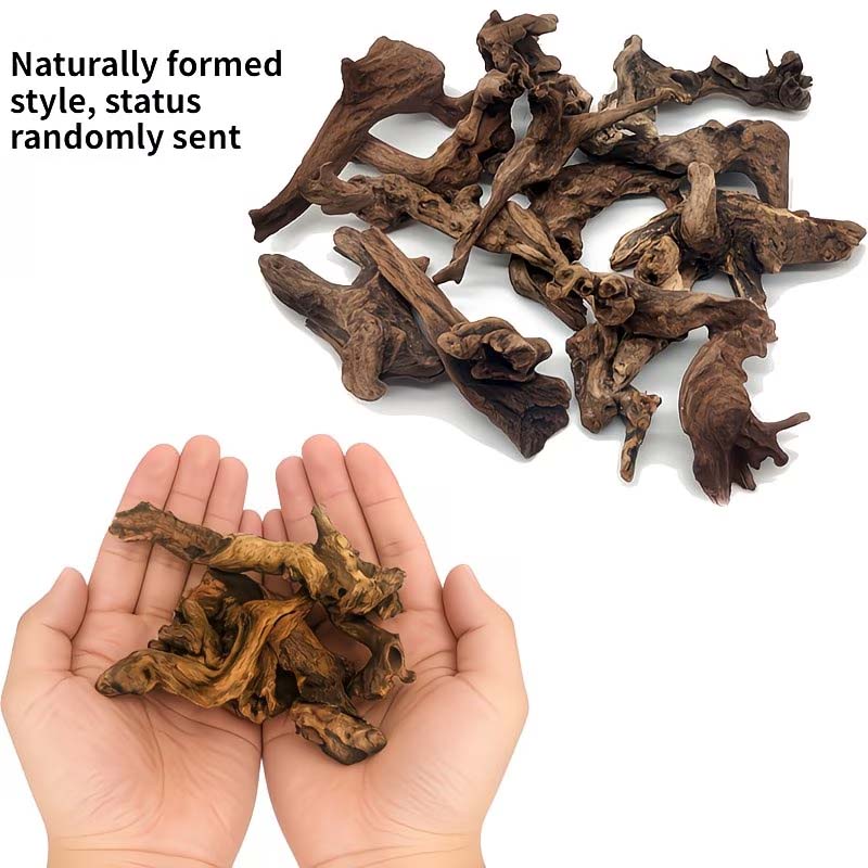 Aquarium Planted Wood - ไม้ลอยน้ำธรรมชาติขนาด 5-10 ซม. สำหรับตกแต่งตู้ปลา ไม้สำหรับสัตว์เลื้อยคลาน ตกแต่งตู้ปลาสำหรับสัตว์น้ำ
