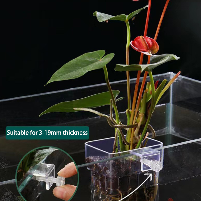 Aquarium Planted Fish Tank - ถ้วยปลูกหญ้าน้ำพิพิธภัณฑ์สัตว์น้ำอเนกประสงค์สำหรับการเพาะพันธุ์กล่องแยกตู้ปลาถังปลาการปลูกพืชไฮโดรโปนิกส์