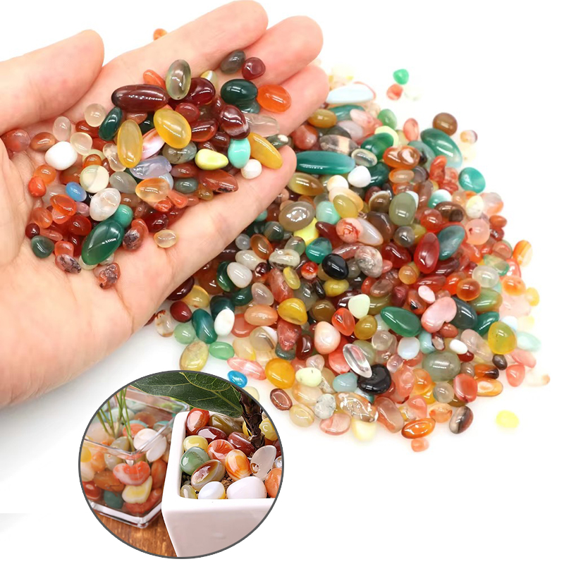 100/200 กรัม 1~1.6 ซม. หินกรวด - Planted Aquarium Air Stone บทวิจารณ์และราคา