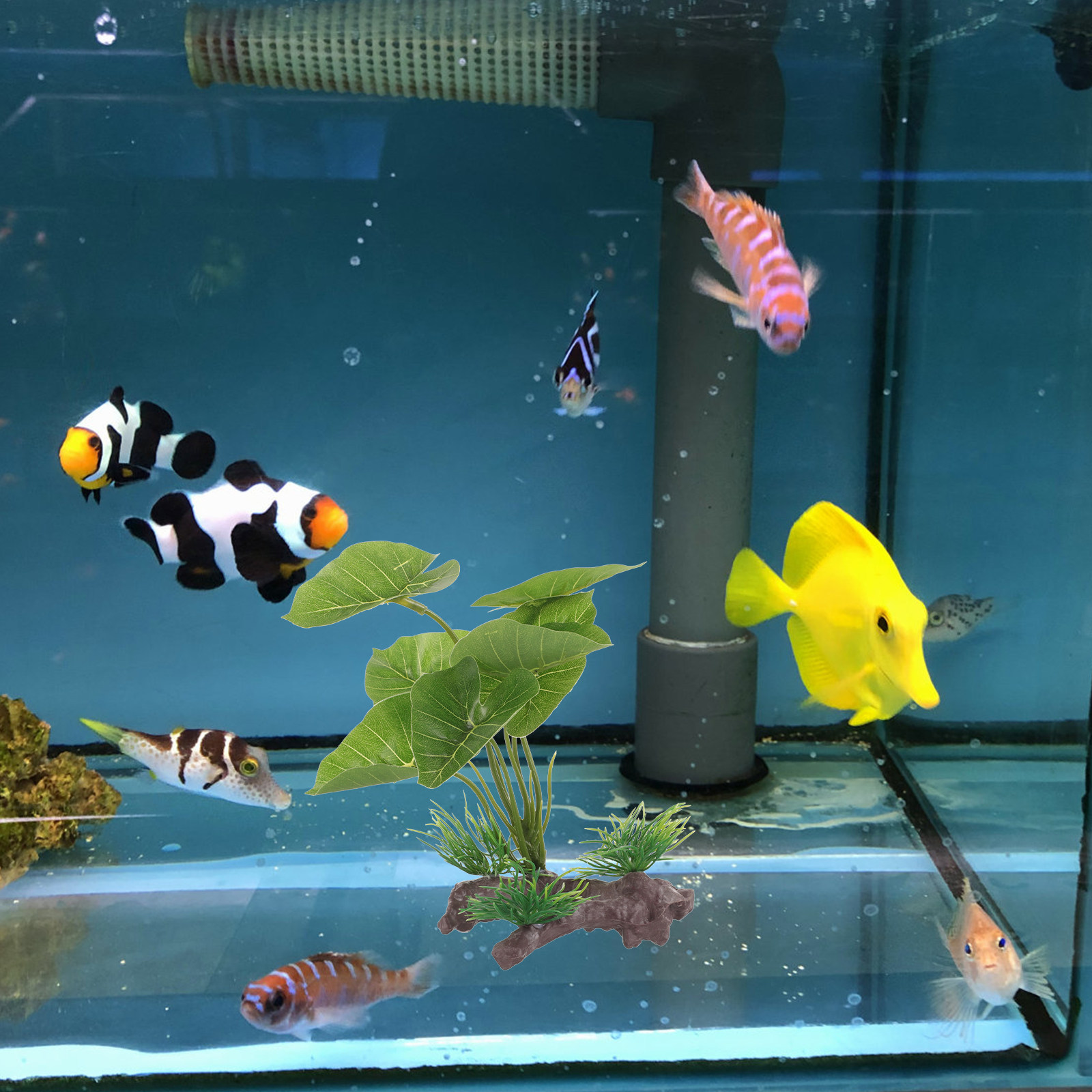 ต้นไม้พลาสติกเสมือนจริงสำหรับต - Planted Aquarium Care บทวิจารณ์และราคา