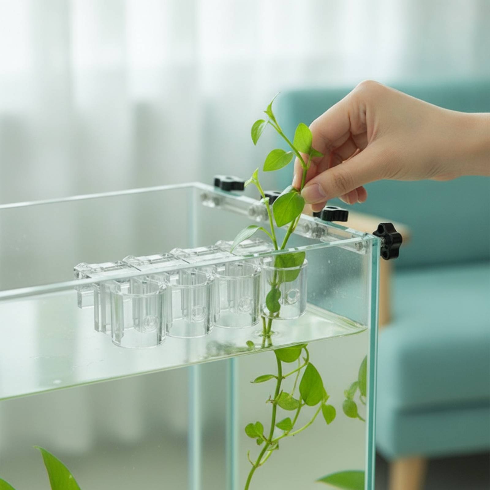 คลิปหนีบกระถางปลูกพืชน้ำแบบใส  - Aquarium Planted บทวิจารณ์และราคา