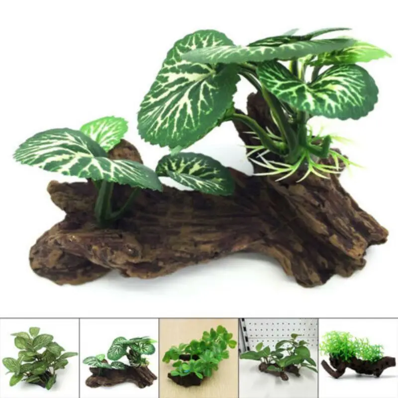 พลาสติกประดิษฐ์เต่าต้นไม้ Trun - Aquarium Planted Wood บทวิจารณ์และราคา