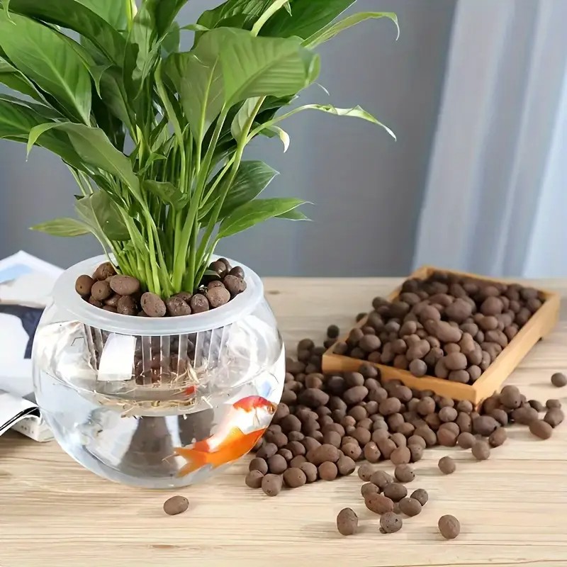 เม็ดดินเผาน้ําหนักเบาและระบายอ - Aquarium Planted บทวิจารณ์และราคา