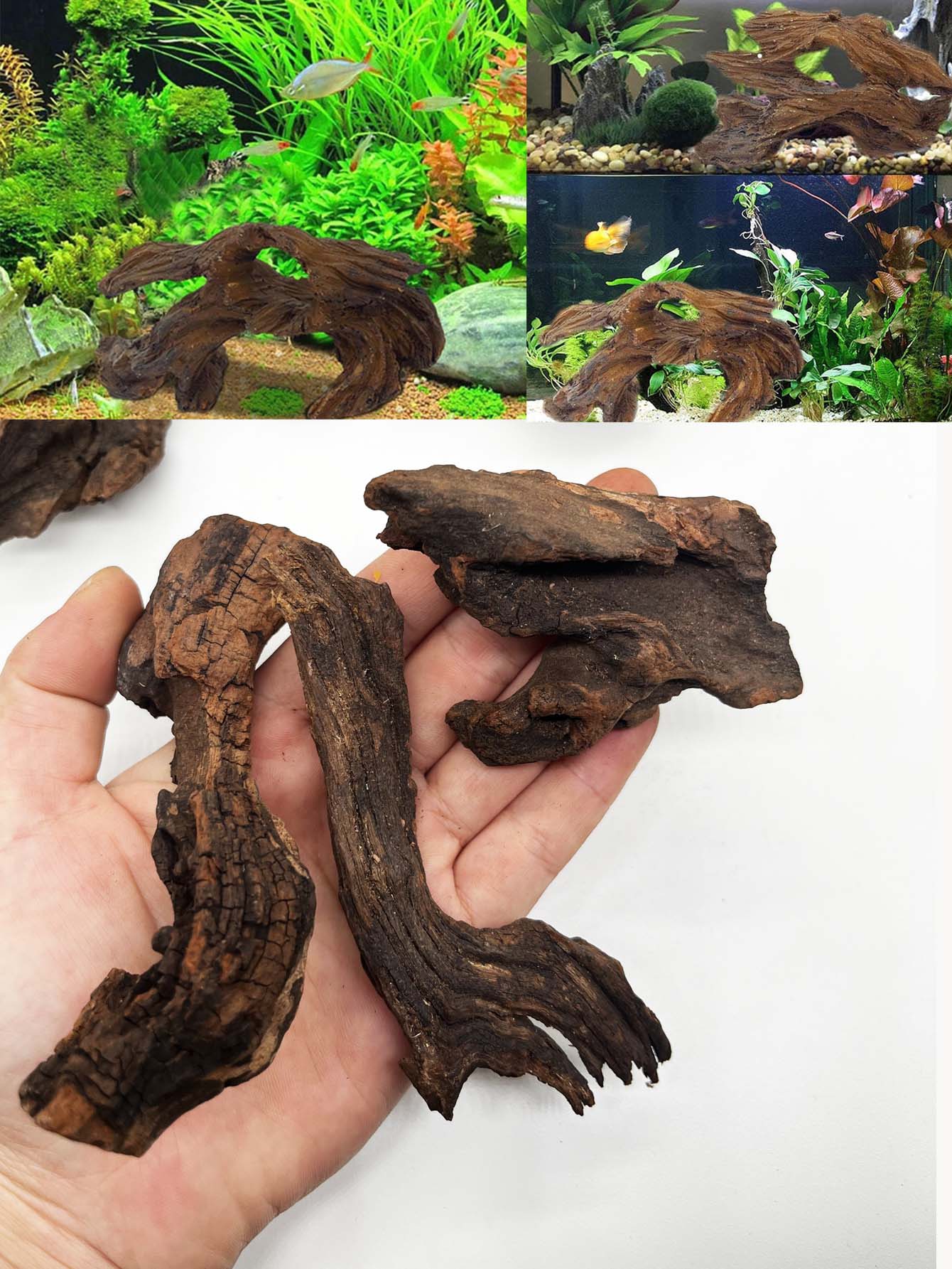 3ชิ้น ﻿ ชุดไม้ดริฟท์ดูเป็นธรรม - Aquarium Planted Wood บทวิจารณ์และราคา