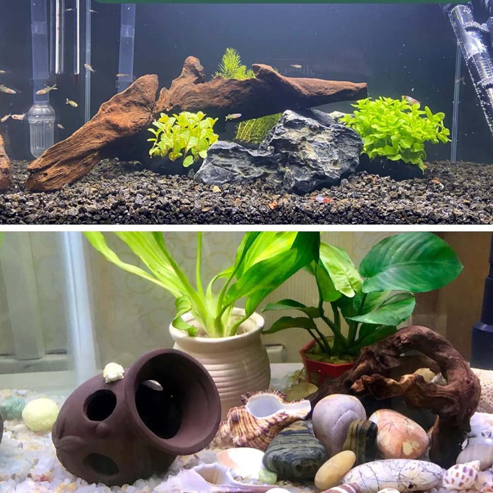 3ชิ้น ﻿ ชุดไม้ดริฟท์ดูเป็นธรรม - Aquarium Planted Wood บทวิจารณ์และราคา