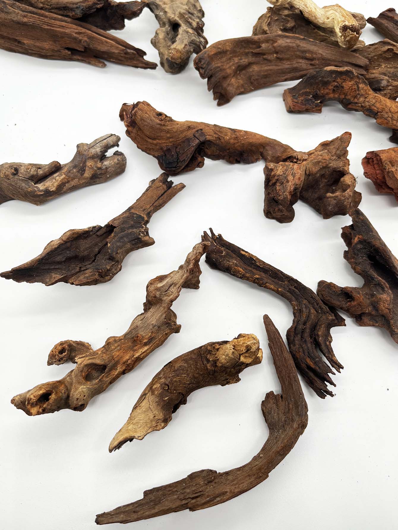 3ชิ้น ﻿ ชุดไม้ดริฟท์ดูเป็นธรรม - Aquarium Planted Wood บทวิจารณ์และราคา