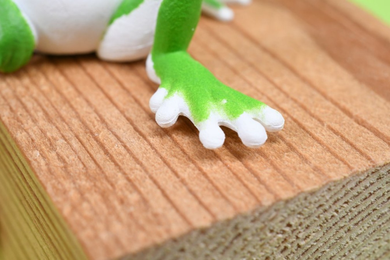 ของเล่นแคปซูล YELL กบต้นไม้น่า - Aquarium Plant Guide บทวิจารณ์และราคา