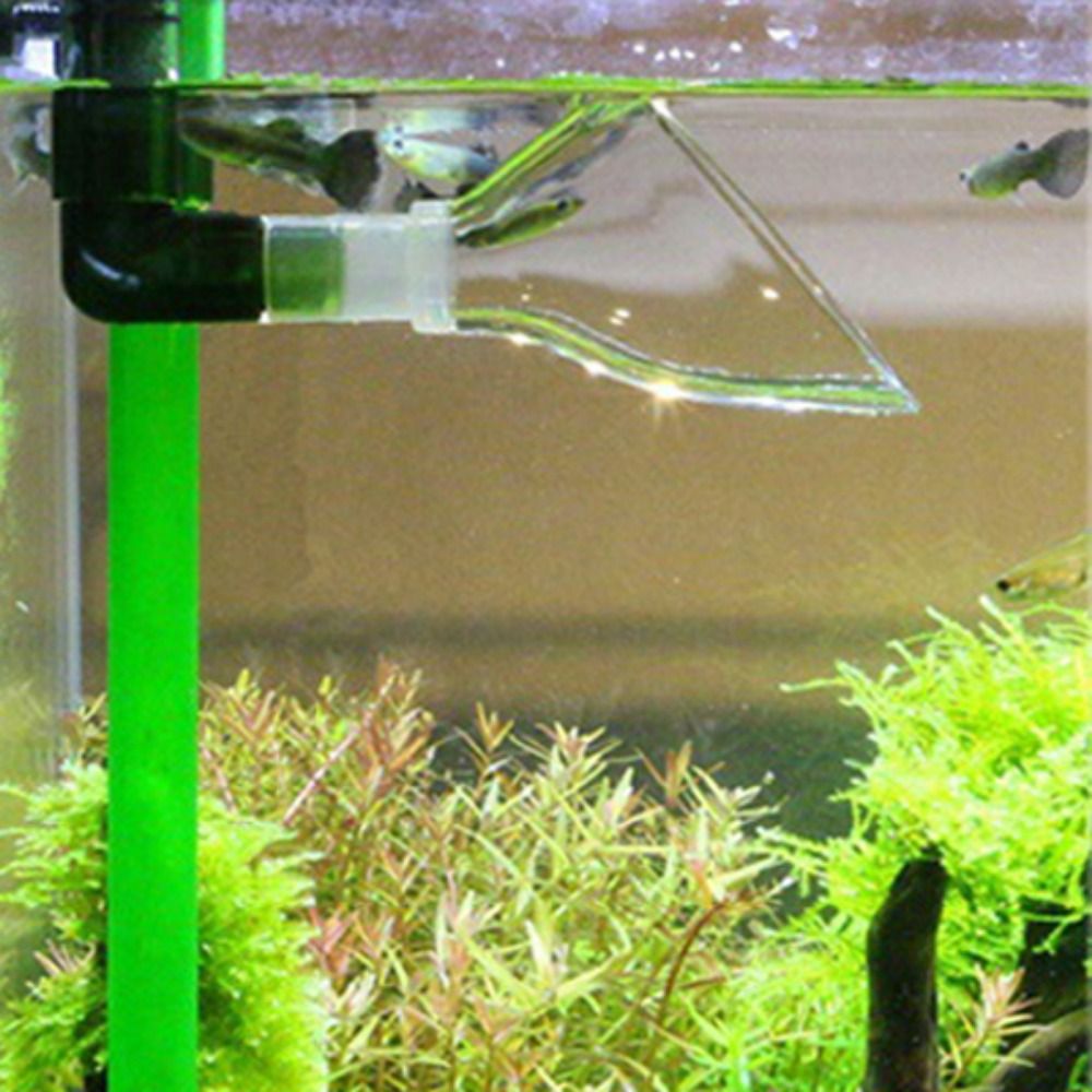 ท่อระบายน้ำอะคริลิคแบบถอดได้สำ - Aquarium Plants Book บทวิจารณ์และราคา