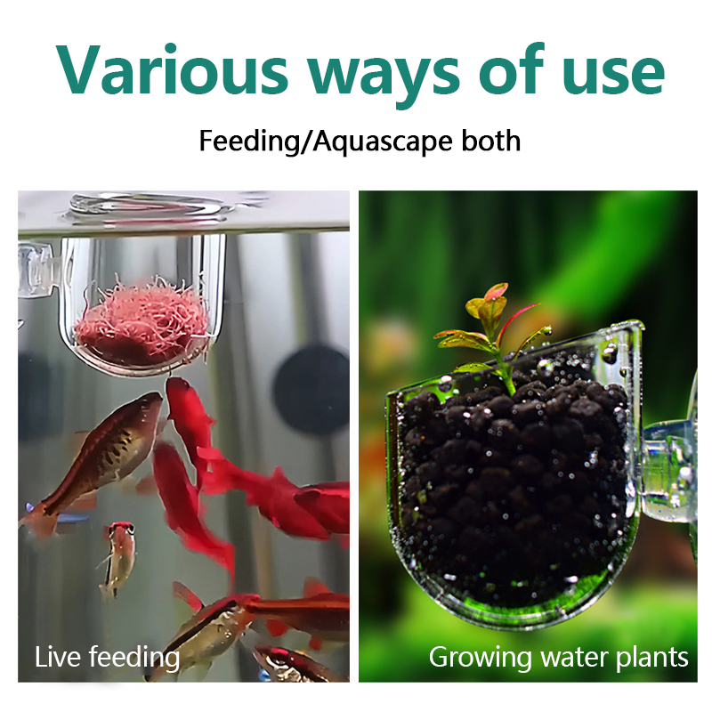 พิพิธภัณฑ์สัตว์น้ําตกแต่งถ้วยห - Planted Aquarium Products บทวิจารณ์และราคา
