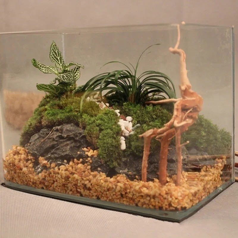 ต้นไม้ธรรมชาติลำต้นไม้ดริฟท์วู - Aquarium Planted Wood บทวิจารณ์และราคา