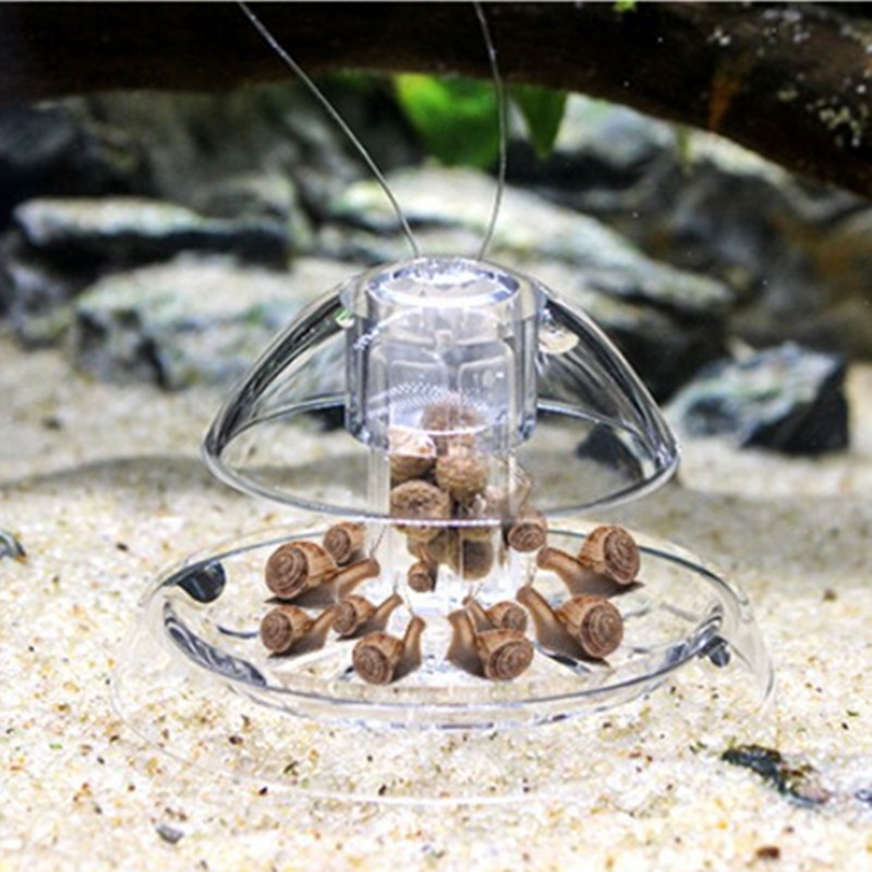 1PCS Fish TANK Aquarium CLEANE - Planted Aquarium Products บทวิจารณ์และราคา