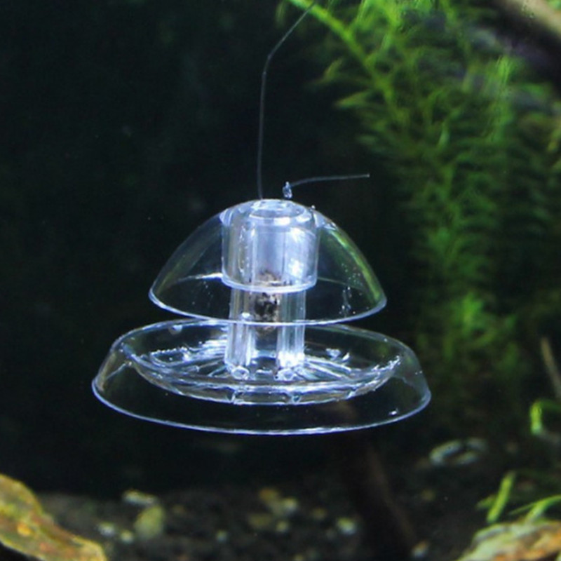 1PCS Fish TANK Aquarium CLEANE - Planted Aquarium Products บทวิจารณ์และราคา