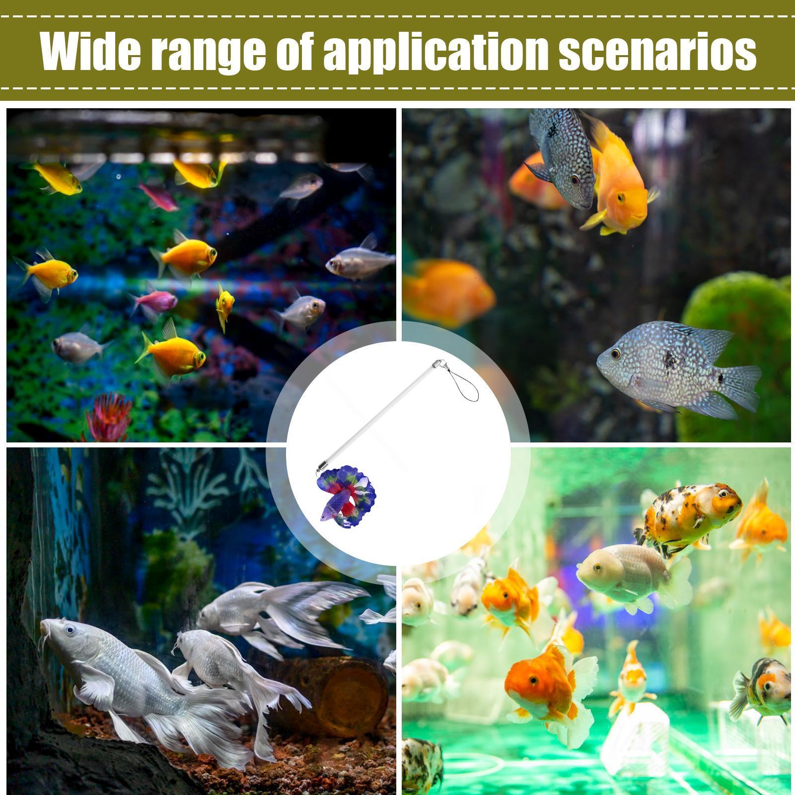 ไม้ฝึกสอนเบตต้า ของเล่นเสริมสร - Planted Aquarium For Beginners บทวิจารณ์และราคา