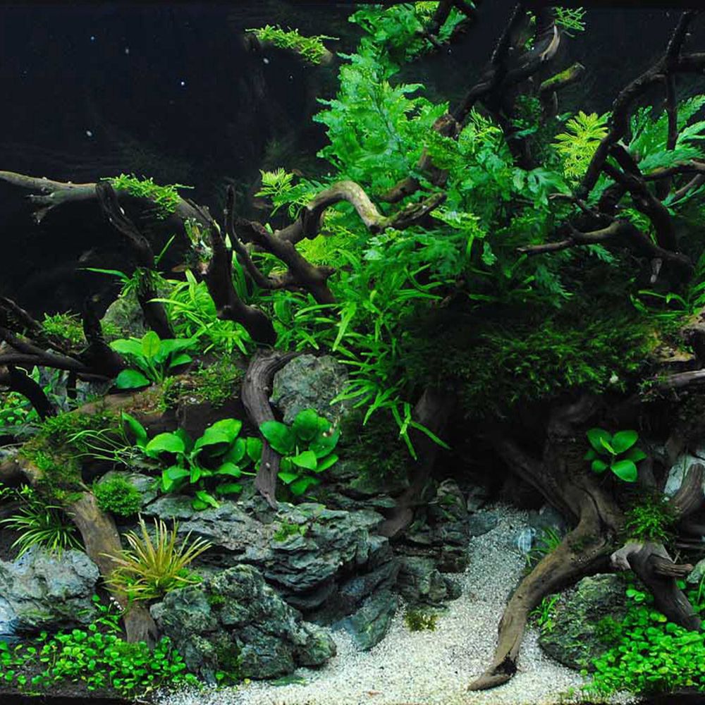 ฉากหลังตู้เลี้ยงสัตว์เลื้อยคลา - Aquarium Planted Wood บทวิจารณ์และราคา