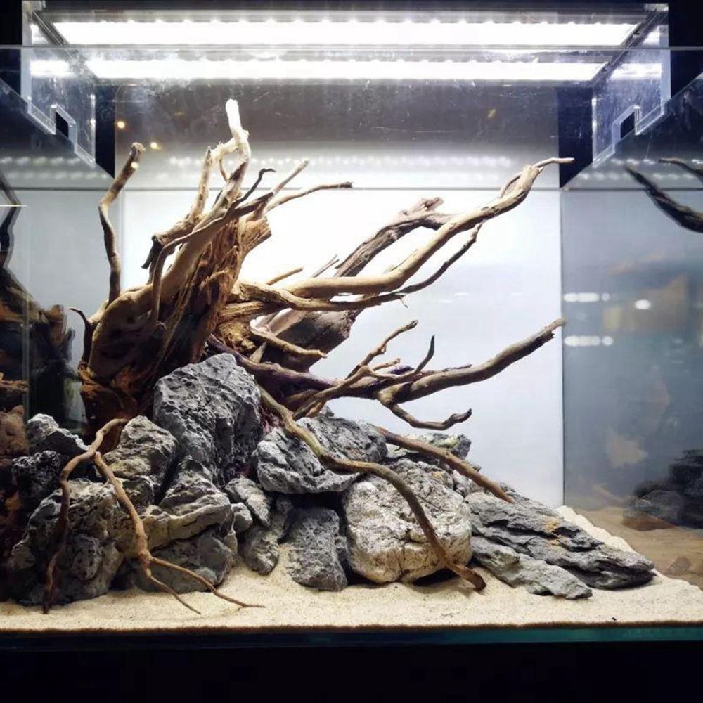 ฉากหลังตู้เลี้ยงสัตว์เลื้อยคลา - Aquarium Planted Wood บทวิจารณ์และราคา