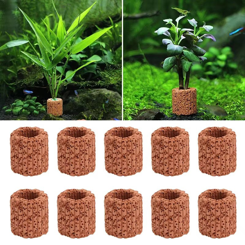พืชน้ําแหวนคงที่สําหรับพิพิธภั - Planted Aquarium Products บทวิจารณ์และราคา