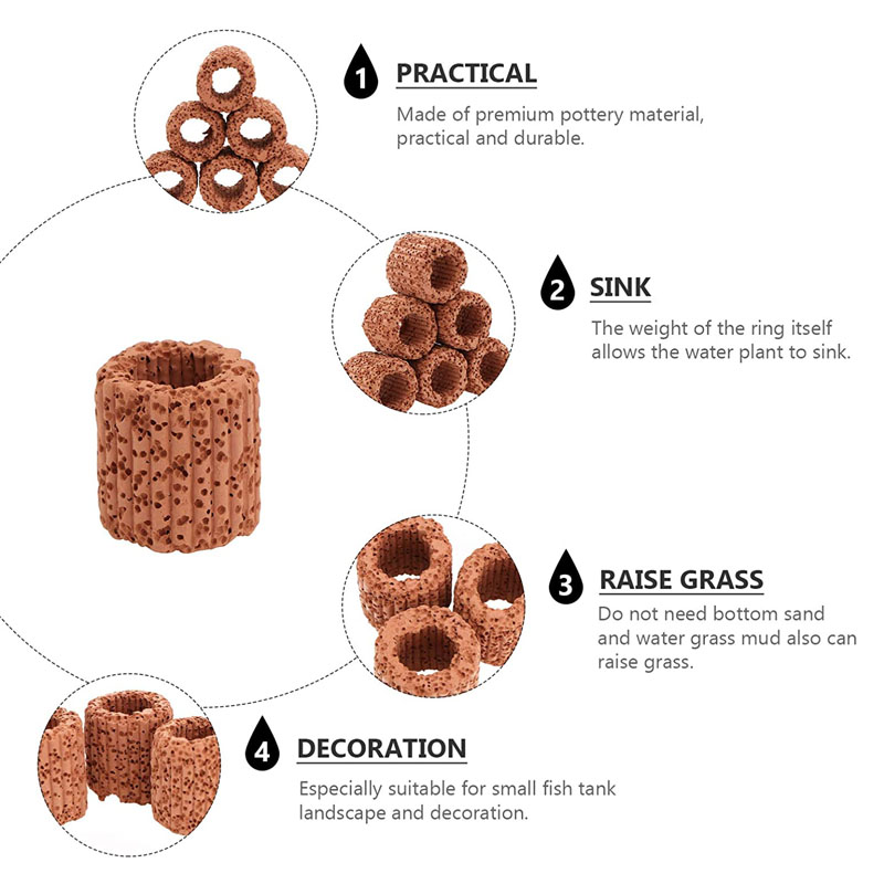 พืชน้ําแหวนคงที่สําหรับพิพิธภั - Planted Aquarium Products บทวิจารณ์และราคา