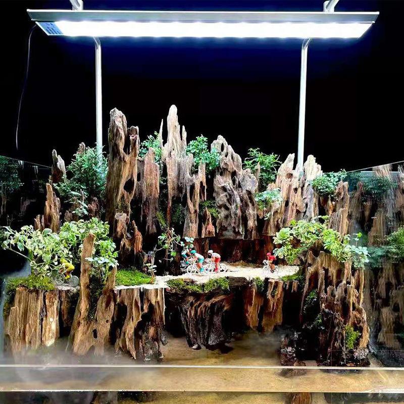ไม้ตกแต่งตู้ปลาสำหรับกุ้ง, ไม้ - Aquarium Planted Wood บทวิจารณ์และราคา