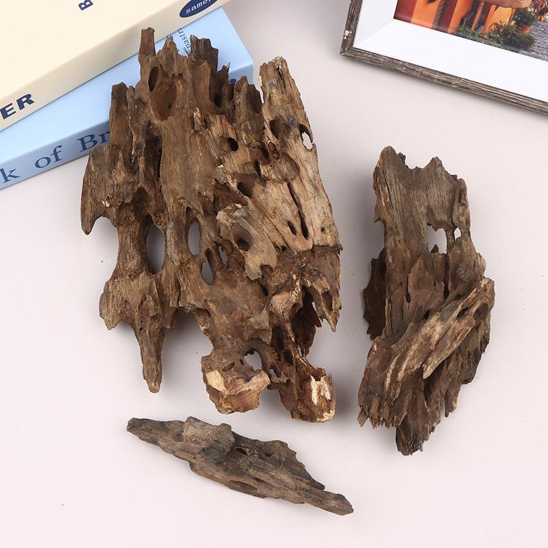 ไม้ตกแต่งตู้ปลาสำหรับกุ้ง, ไม้ - Aquarium Planted Wood บทวิจารณ์และราคา