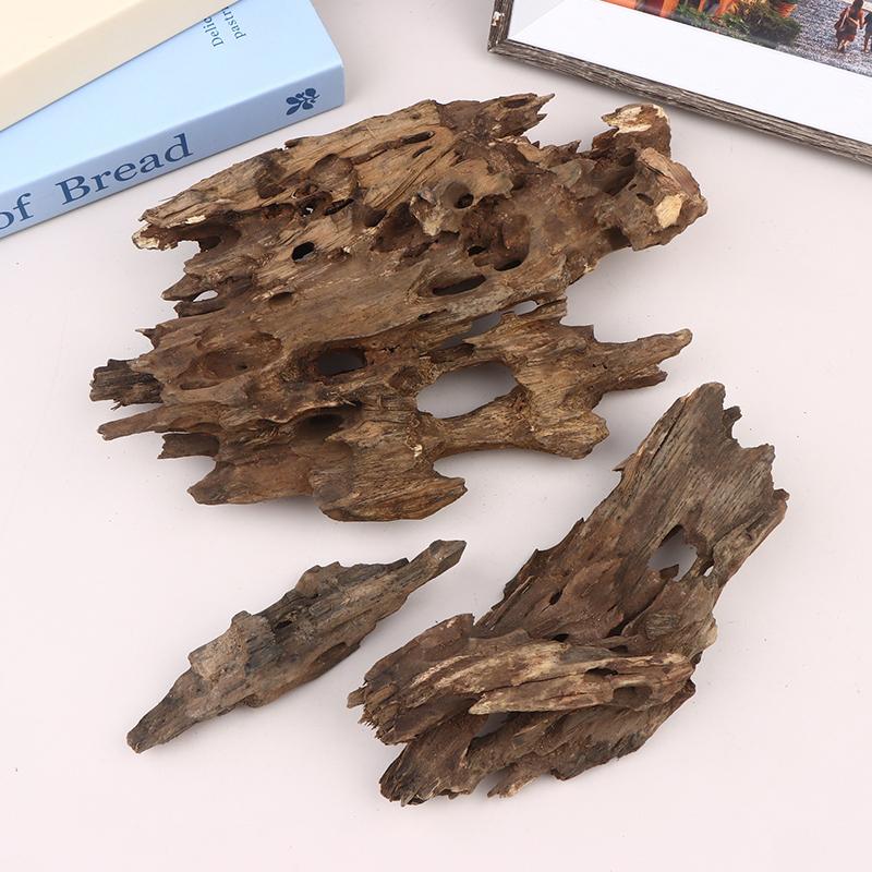 ไม้ตกแต่งตู้ปลาสำหรับกุ้ง, ไม้ - Aquarium Planted Wood บทวิจารณ์และราคา