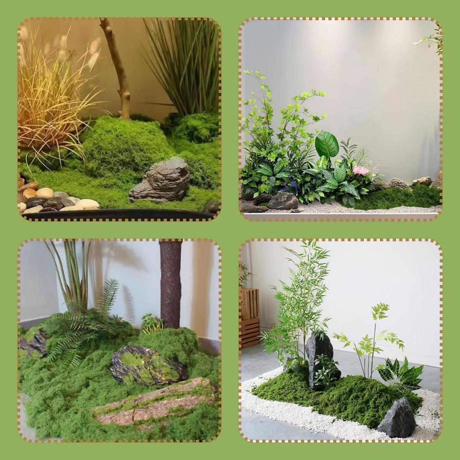 พืชสีเขียวเทียมสำหรับปลูกกลางแ - Planted Aquarium Products บทวิจารณ์และราคา