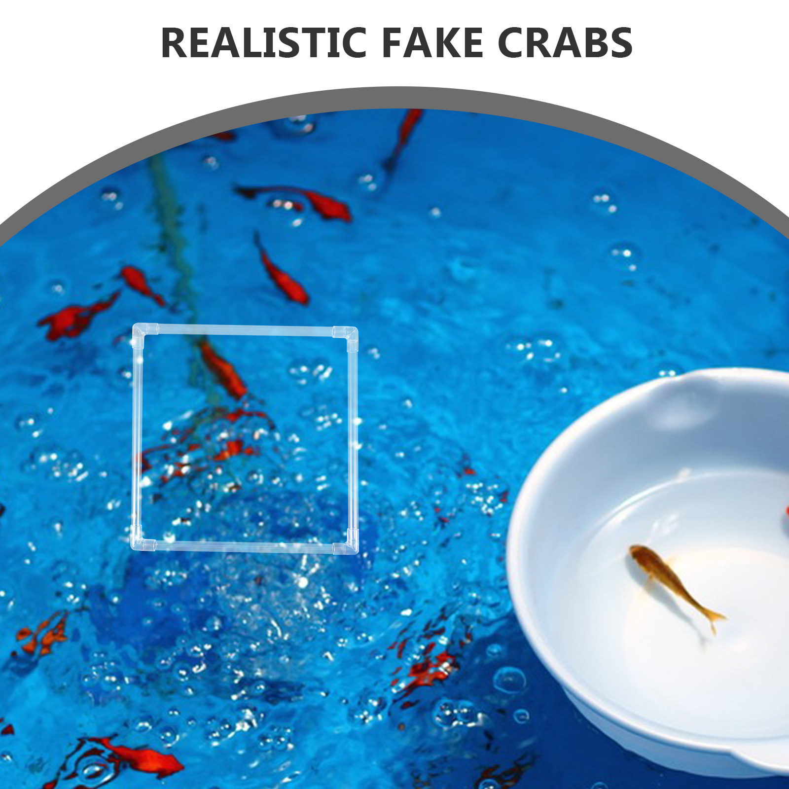 ชุดวงแหวนลอยน้ำสำหรับตู้ปลา 1  - Planted Aquarium Materials บทวิจารณ์และราคา