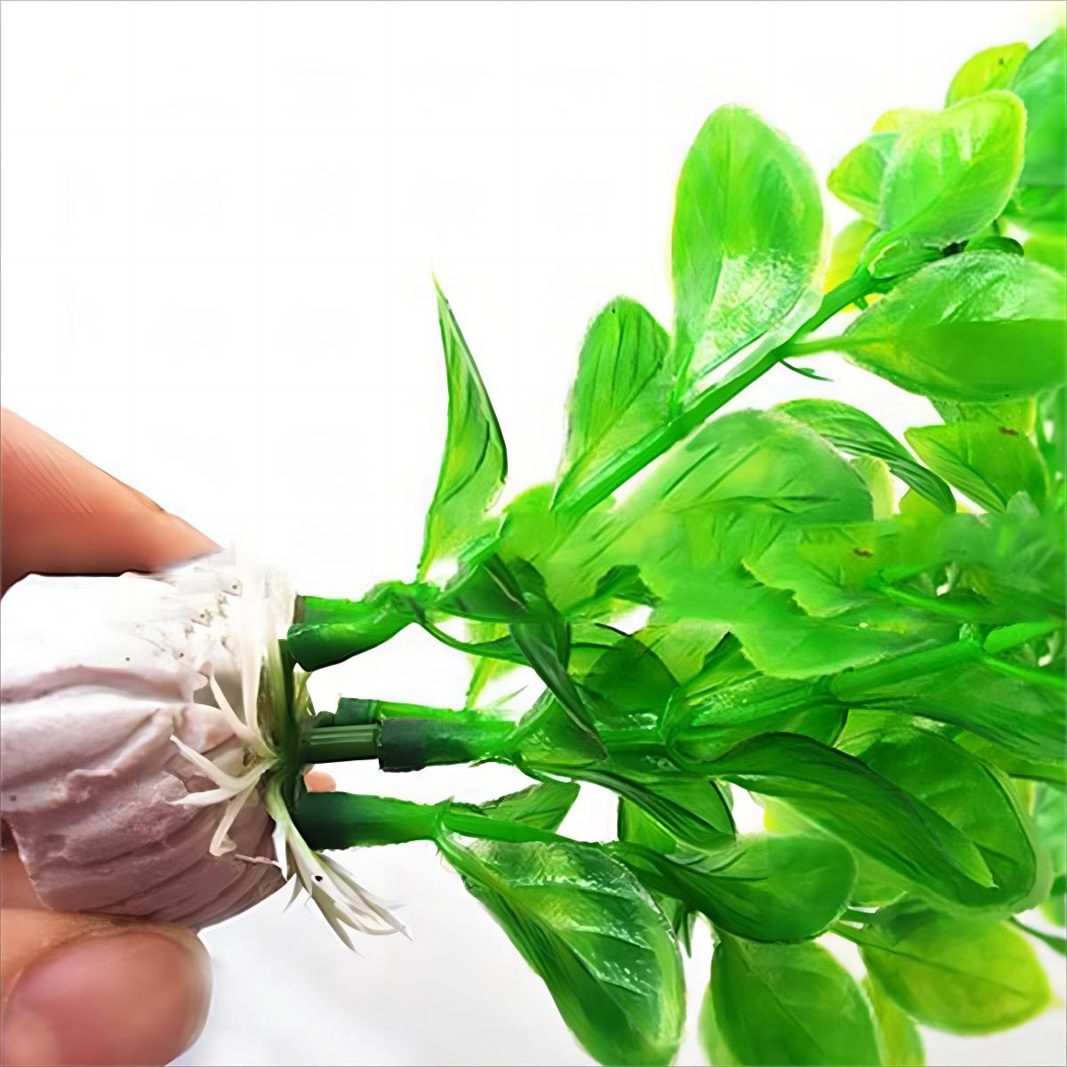 ตกแต่งตู้ปลาพืชประดิษฐ์จำลองดอ - Planted Aquarium Materials บทวิจารณ์และราคา