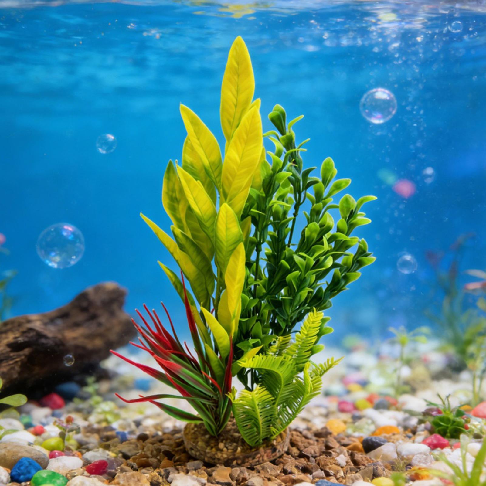 ต้นไม้ประดิษฐ์สำหรับตกแต่งตู้ป - Planted Aquarium For Beginners บทวิจารณ์และราคา