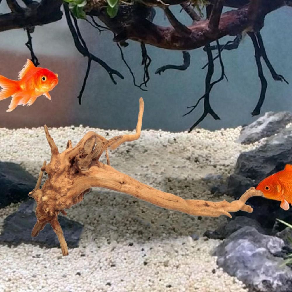 ลำต้นของต้นไม้ธรรมชาติตกแต่งงา - Aquarium Plant Guide บทวิจารณ์และราคา