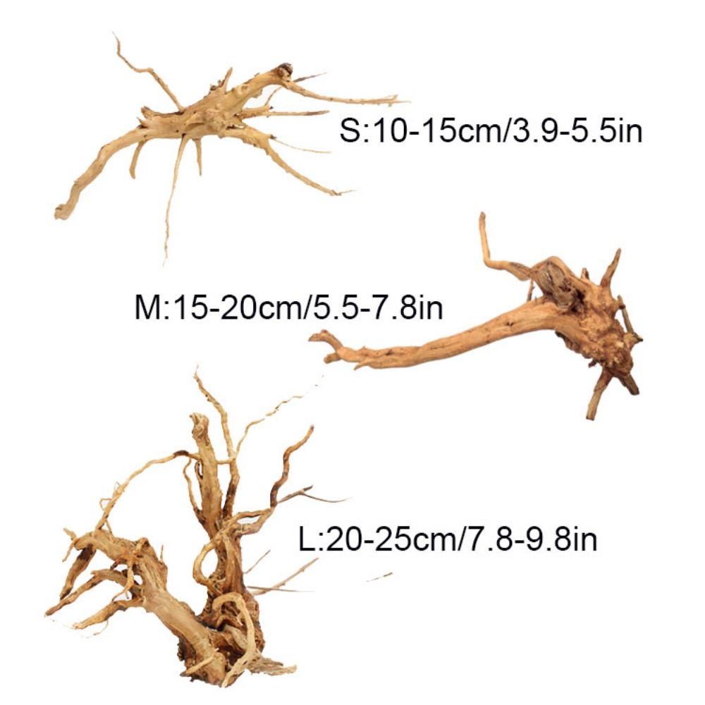 ลำต้นของต้นไม้ธรรมชาติตกแต่งงา - Aquarium Plant Guide บทวิจารณ์และราคา