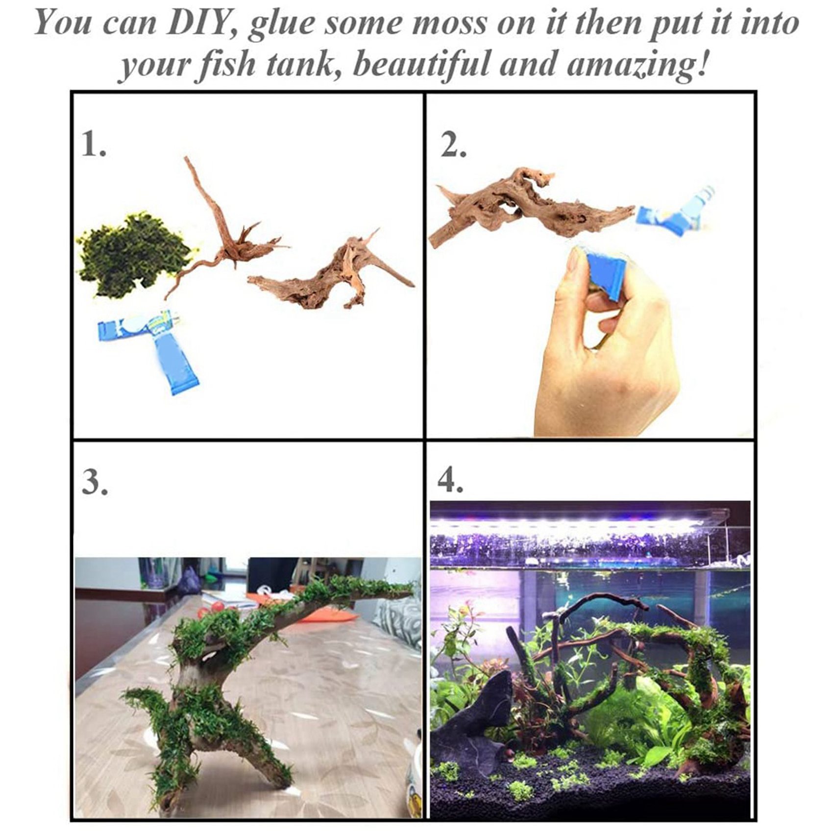 ลดราคา-ไม้ลอยน้ำขนาดเล็กสำหรับ - Aquarium Plant Guide บทวิจารณ์และราคา