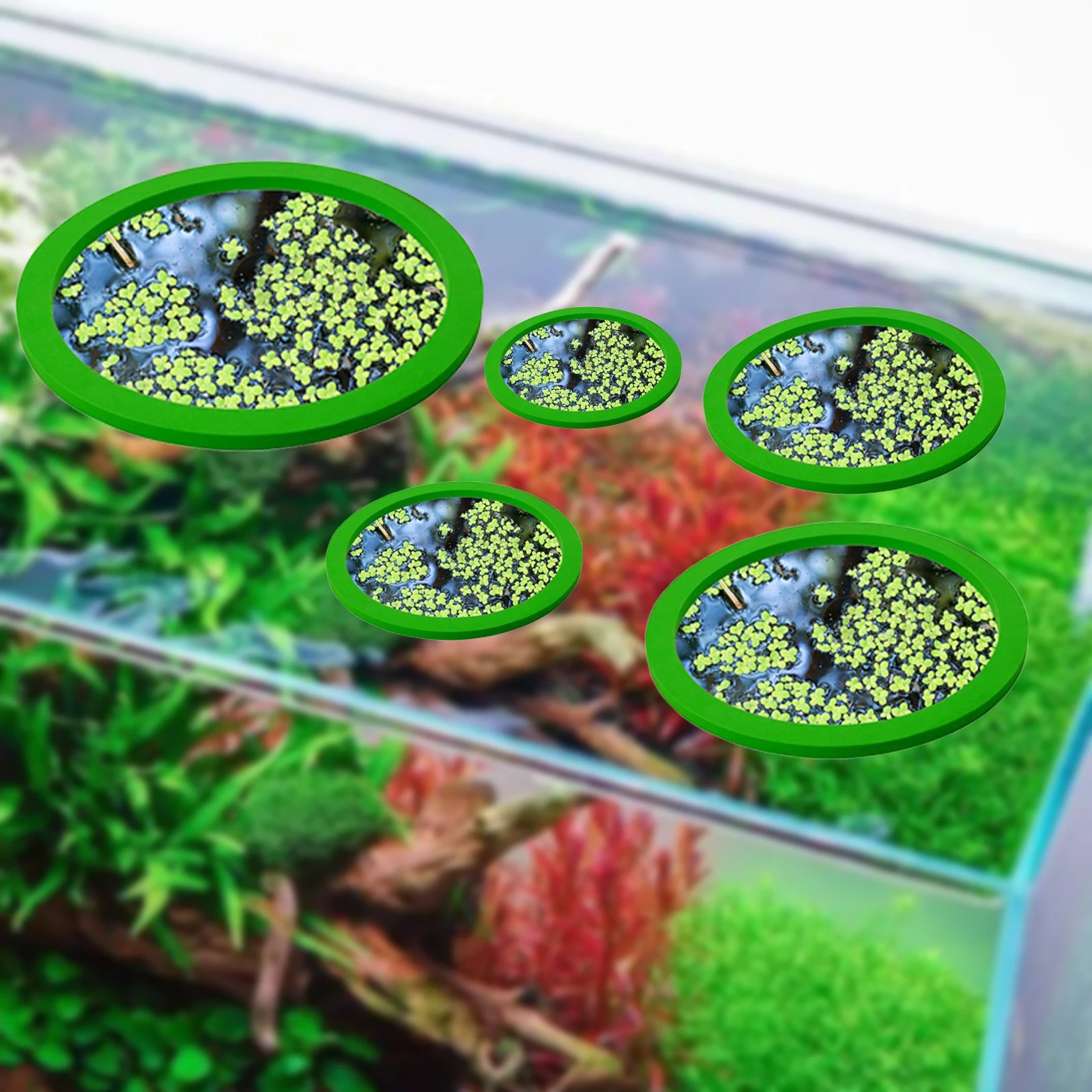 5 ชิ้น EVA ปลา Feeding แหวน Aq - Aquarium Planted Fish Tank บทวิจารณ์และราคา