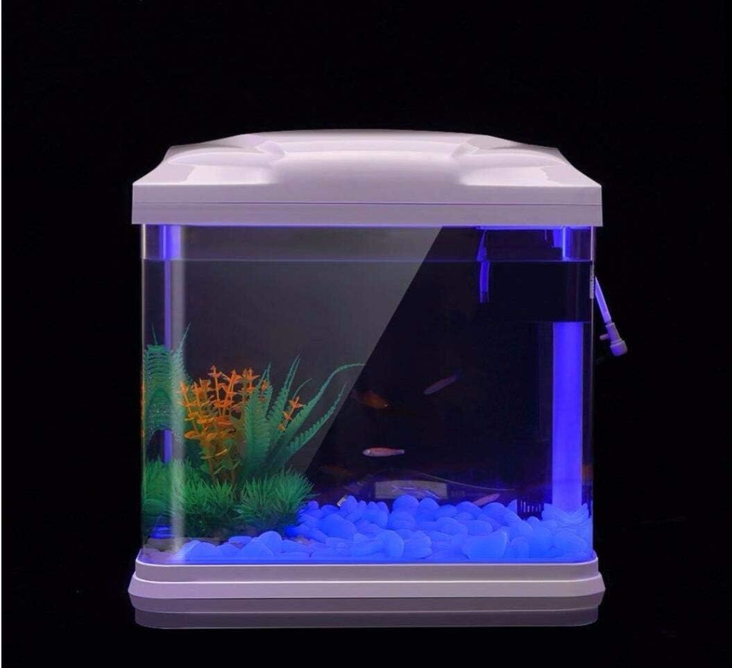 ถังปลา Rocks Glow Blue Pebbles - Aquarium Planted Fish Tank บทวิจารณ์และราคา