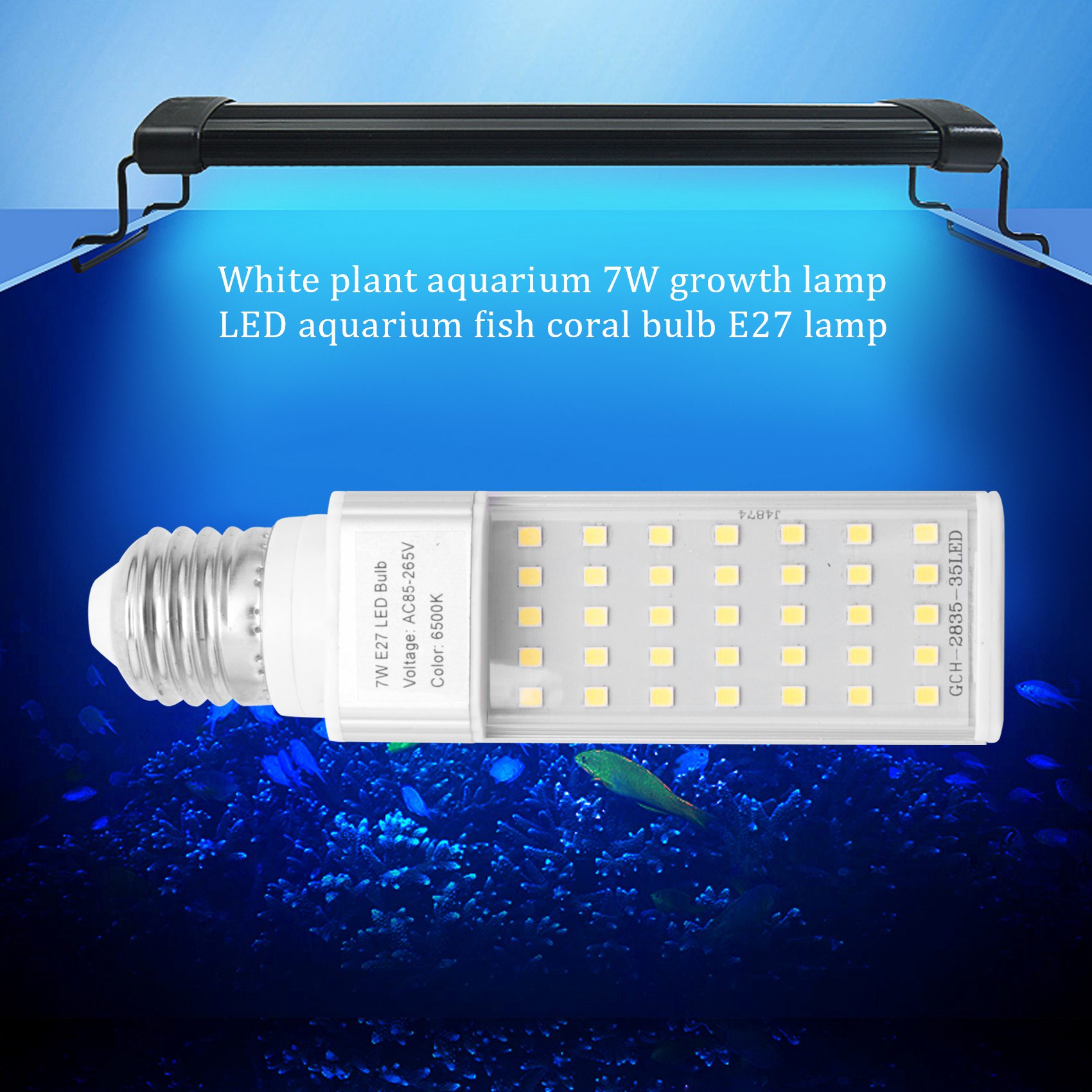 A19Q-Fishpod พิพิธภัณฑ์สัตว์น้ - Planted Aquarium Materials บทวิจารณ์และราคา