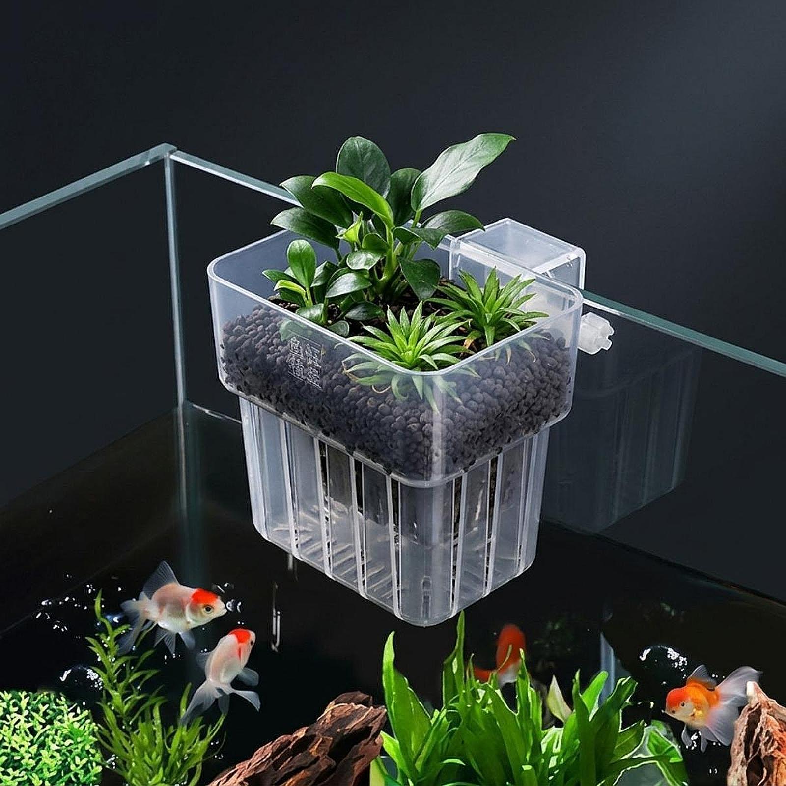 ที่แขวนต้นไม้ในตู้ปลาแบบปรับได - Planted Aquarium Materials บทวิจารณ์และราคา
