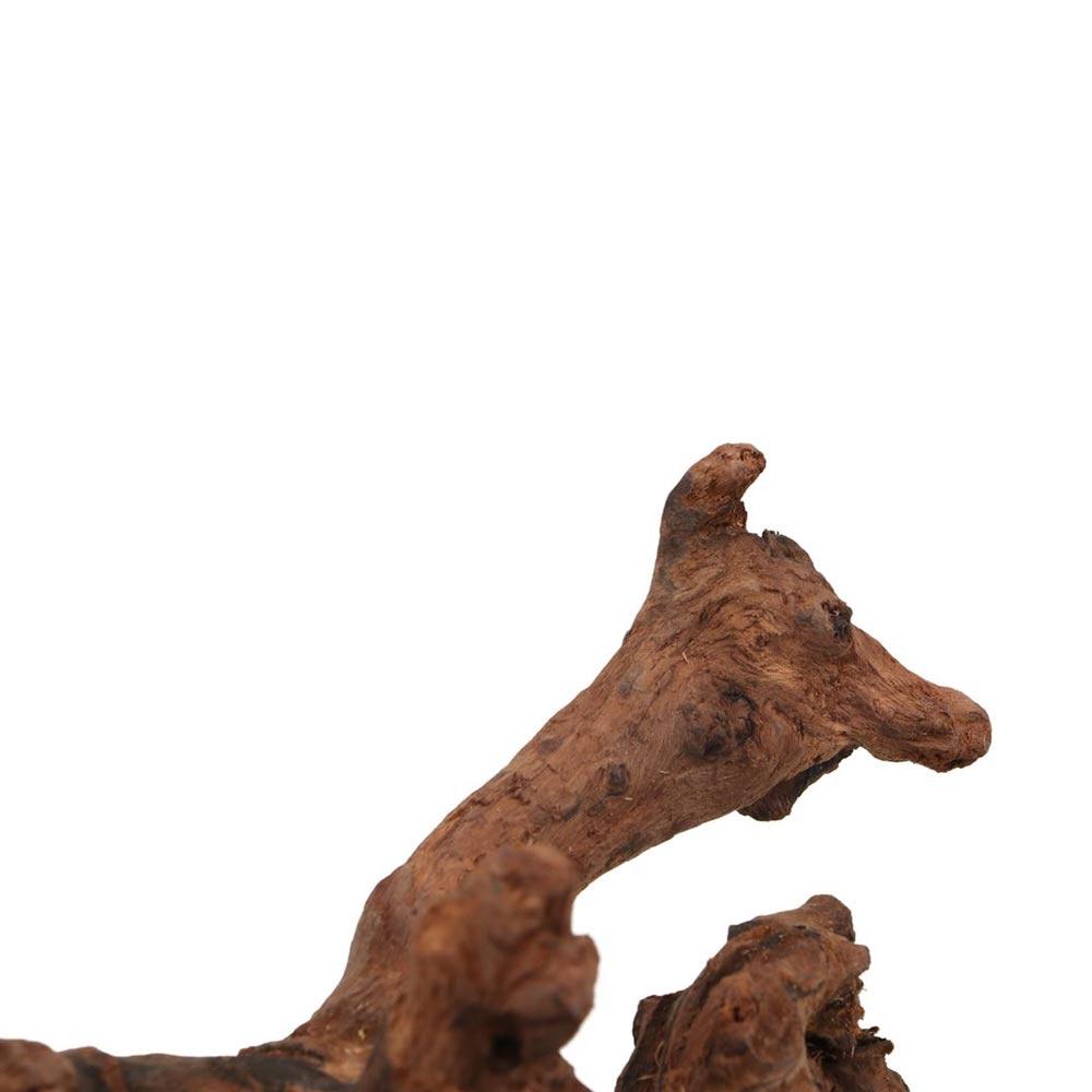 ไม้ปะการังรูปทรงแปลกตา ไม้ธรรม - Aquarium Planted Wood บทวิจารณ์และราคา
