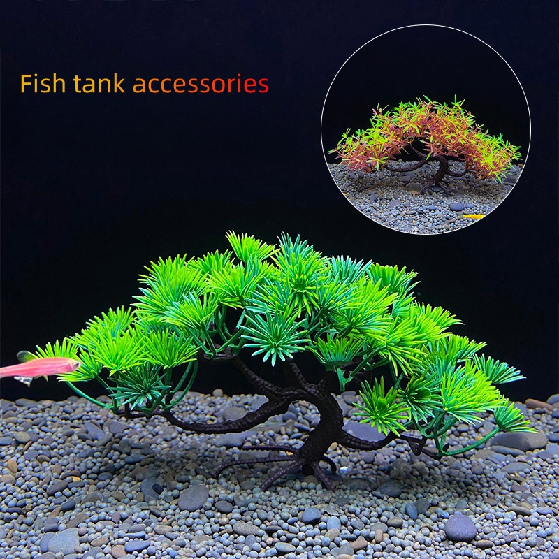 ต้นบอนไซตู้ปลา, พืช, ตกแต่งตู้ - Aquarium Plant Guide บทวิจารณ์และราคา