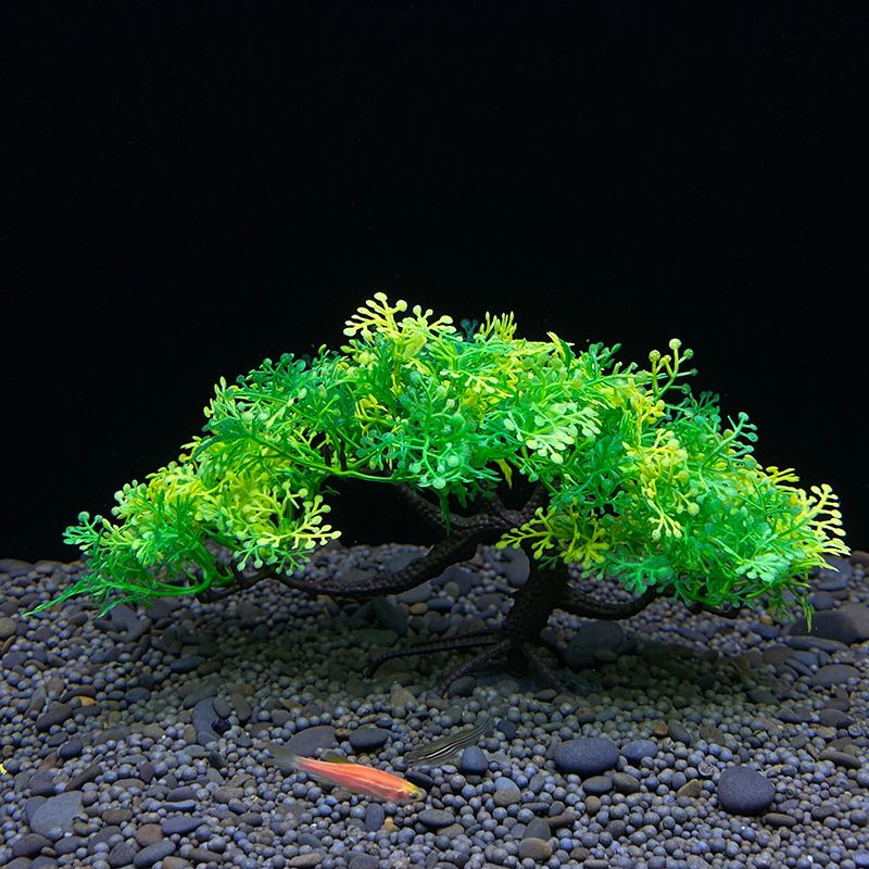 ต้นบอนไซตู้ปลา, พืช, ตกแต่งตู้ - Aquarium Plant Guide บทวิจารณ์และราคา