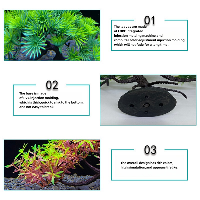 ต้นบอนไซตู้ปลา, พืช, ตกแต่งตู้ - Aquarium Plant Guide บทวิจารณ์และราคา