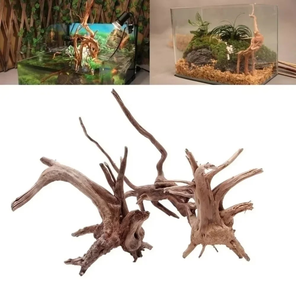 ไม้ลอยน้ำธรรมชาติขนาด 15-20 ซม - Aquarium Planted Wood บทวิจารณ์และราคา