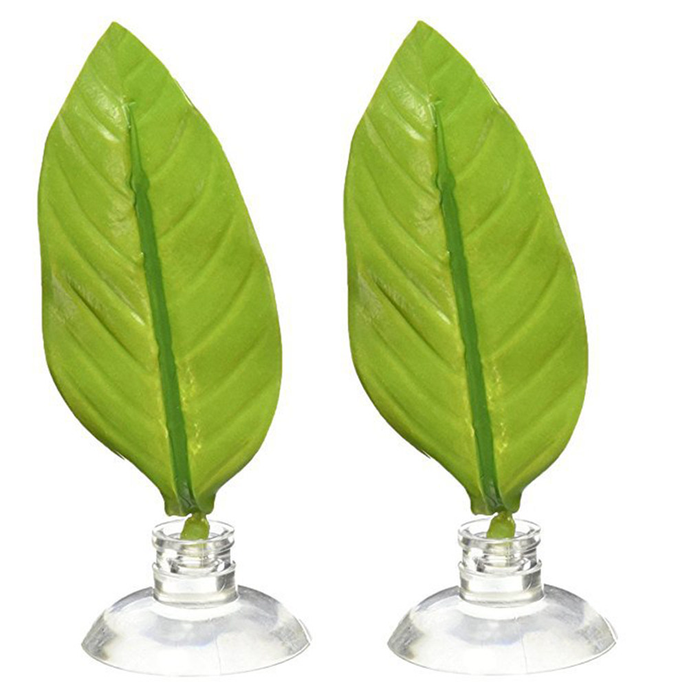 ตู้ปลา ตู้เลี้ยงปลา ใบไม้ประดิ - Planted Aquarium Materials บทวิจารณ์และราคา