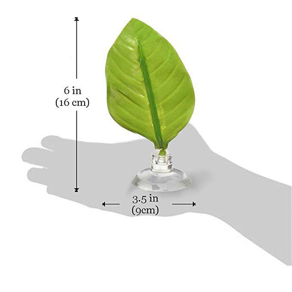ตู้ปลา ตู้เลี้ยงปลา ใบไม้ประดิ - Planted Aquarium Materials บทวิจารณ์และราคา